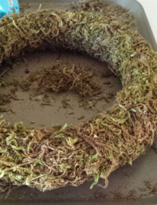 craft moss wreath diy
